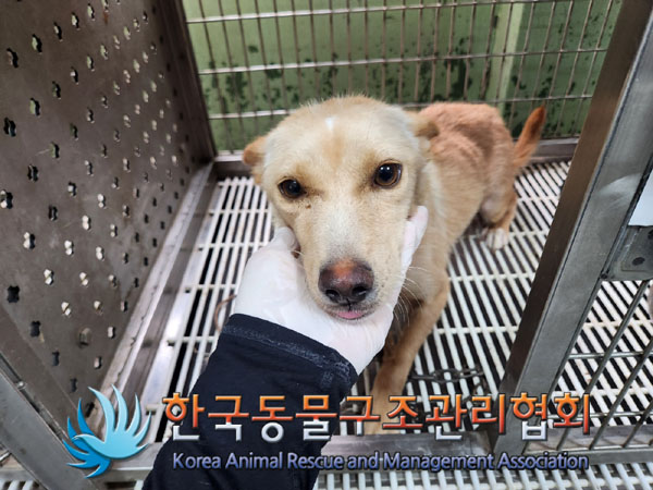 한국동물구조관리협회_441559202300905
